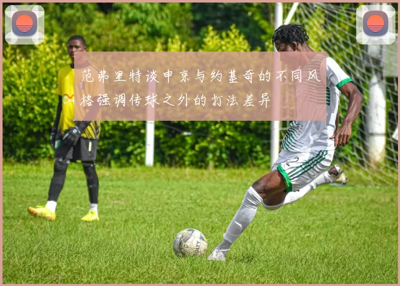 范弗里特谈申京与约基奇的不同风格强调传球之外的打法差异